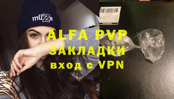 индика Алексин