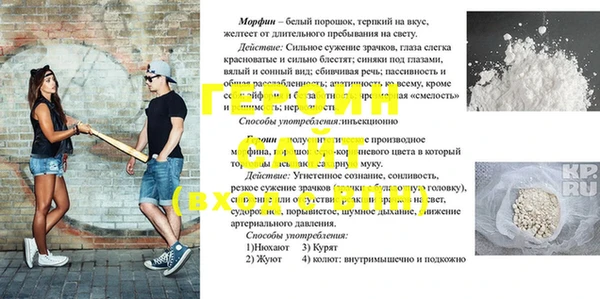 индика Алексин