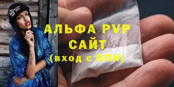 индика Алексин