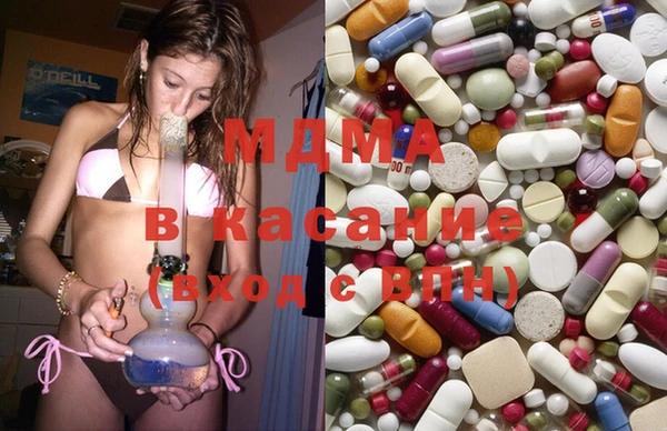 индика Алексин