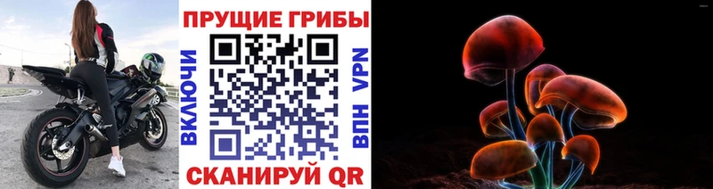 Галлюциногенные грибы ЛСД  даркнет сайт  darknet телеграм  Ливны 