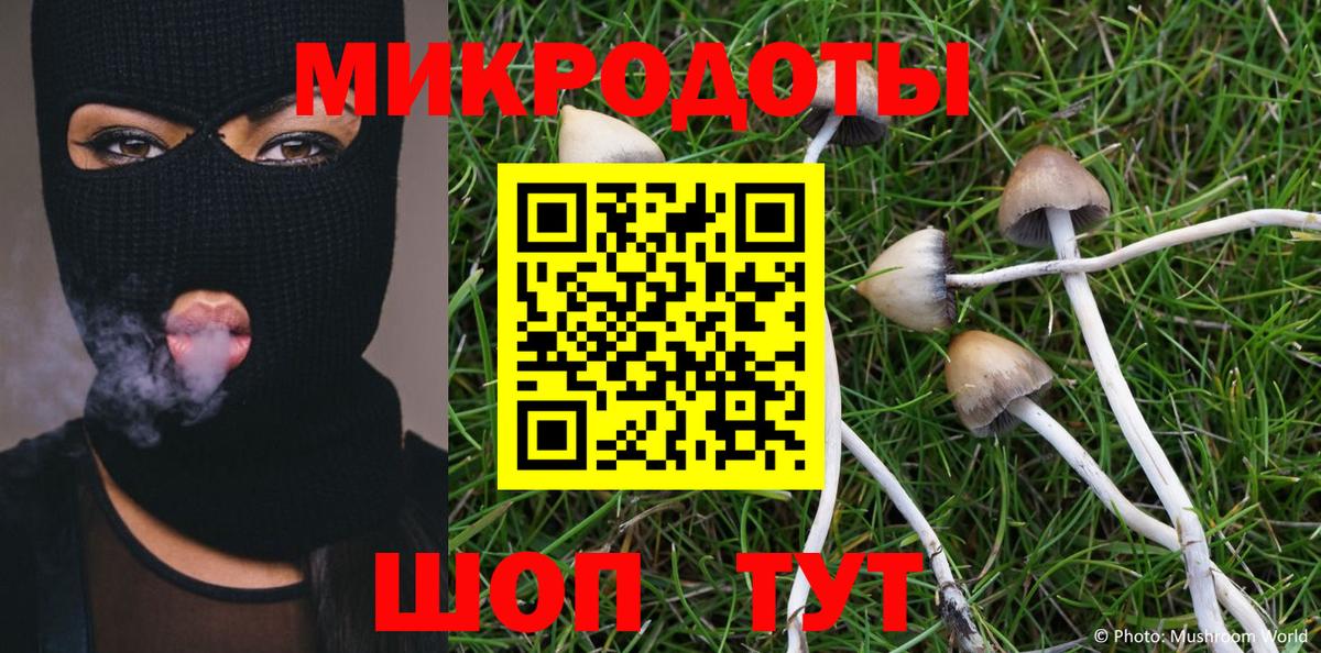 Псилоцибиновые грибы GOLDEN TEACHER Ливны