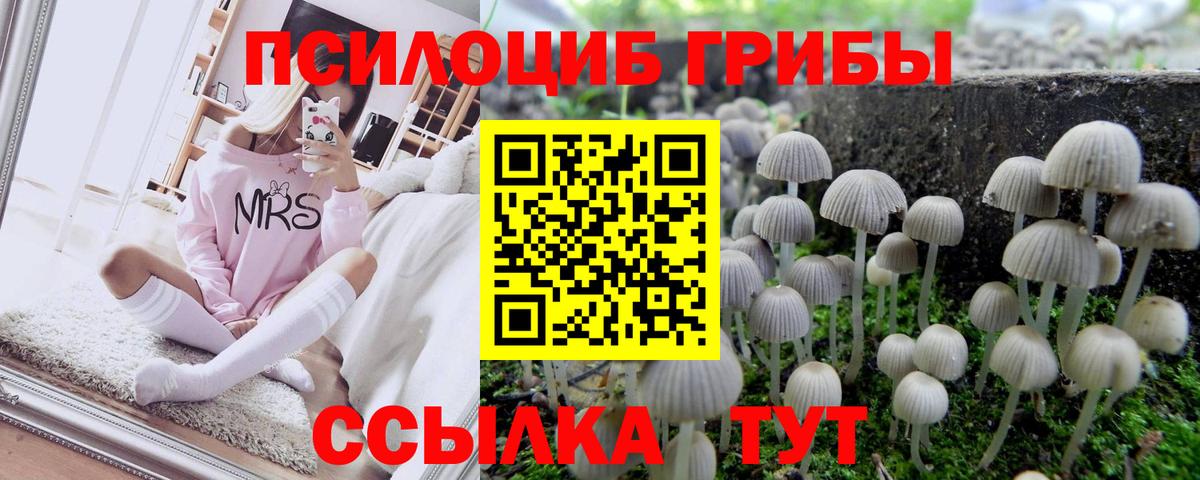 Псилоцибиновые грибы прущие грибы  закладки  Ливны  Вход с VPN  Псилоцибиновые грибы прущие грибы 